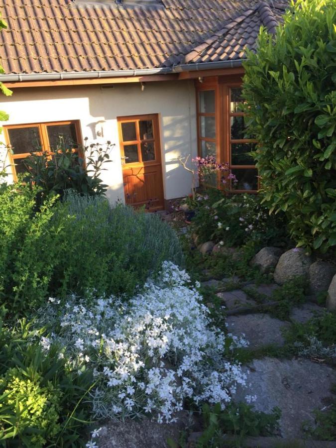 Ferienwohnung Stockrose Middelhagen Esterno foto
